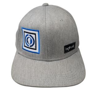 Bigtruck Snapback Cap Gray One Size Adjustable Embroidered 6 Panel